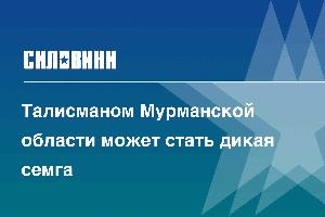 Талисманом Мурманской области может стать дикая семга