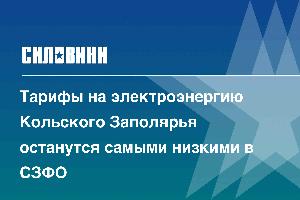 Тарифы на электроэнергию Кольского Заполярья останутся самыми низкими в СЗФО