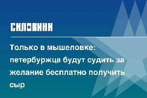 Только в мышеловке: петербуржца будут судить за желание бесплатно получить сыр