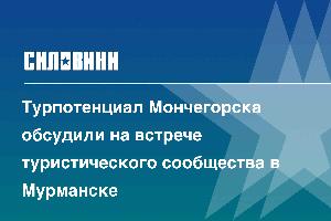 Турпотенциал Мончегорска обсудили на встрече туристического сообщества в Мурманске