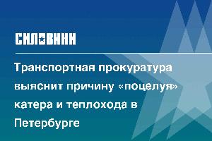 Транспортная прокуратура выяснит причину «поцелуя» катера и теплохода в Петербурге