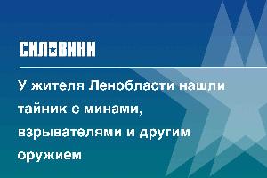 У жителя Ленобласти нашли тайник с минами, взрывателями и другим оружием