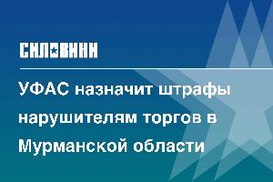 УФАС назначит штрафы нарушителям торгов в Мурманской области