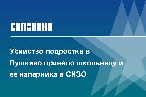 Убийство подростка в Пушкино привело школьницу и ее напарника в СИЗО