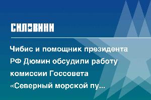 Чибис и помощник президента РФ Дюмин обсудили работу комиссии Госсовета «Северный морской путь и Арктика»