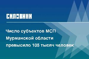 Число субъектов МСП Мурманской области превысило 105 тысяч человек