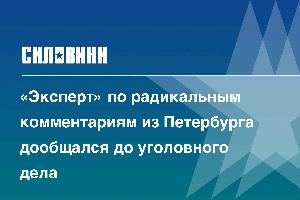 «Эксперт» по радикальным комментариям из Петербурга дообщался до уголовного дела